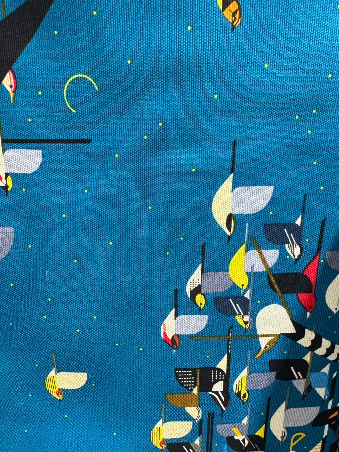 Charley Harper Missing Migrants Birds Canvas