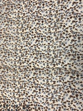 Cream with Brown floral and Border Print | Cotton Voile