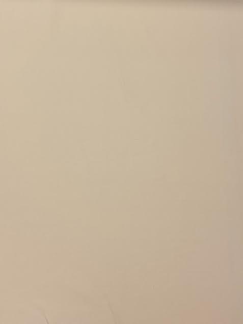 Beige Solid | Viscose Twill | Made in Italy