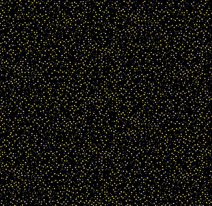 Metallic Confetti in Black | CHONG-A HWANG | Lotus Garden