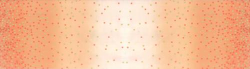 Coral | by Vanessa Christenson | Best Ombre Confetti Metallic