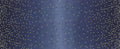 Indigo | by Vanessa Christenson | Best Ombre Confetti Metallic