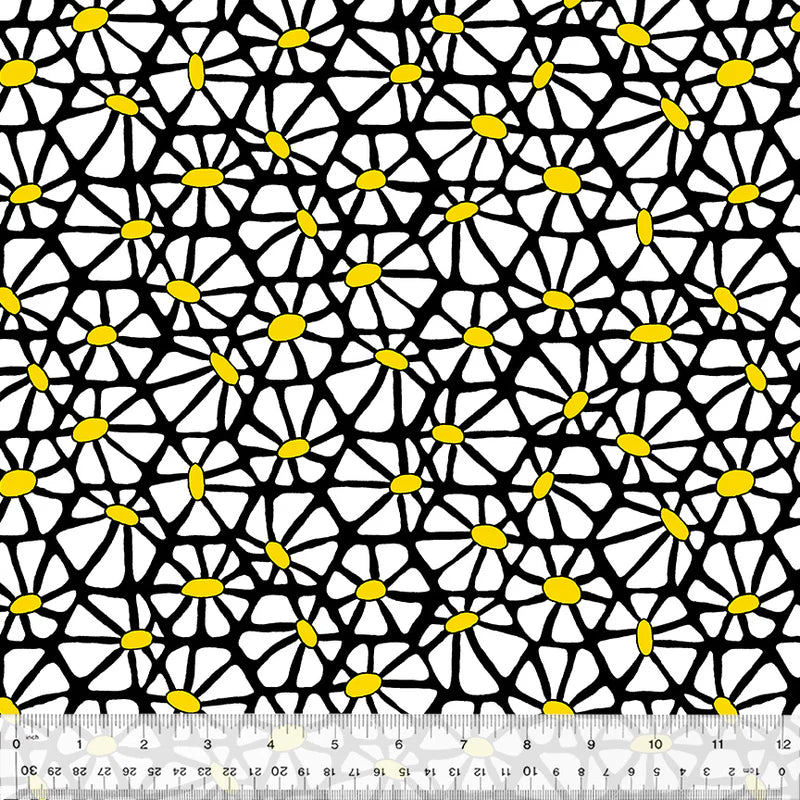 Daisy Canvas | Shayla Wolf | Summer Lovin'