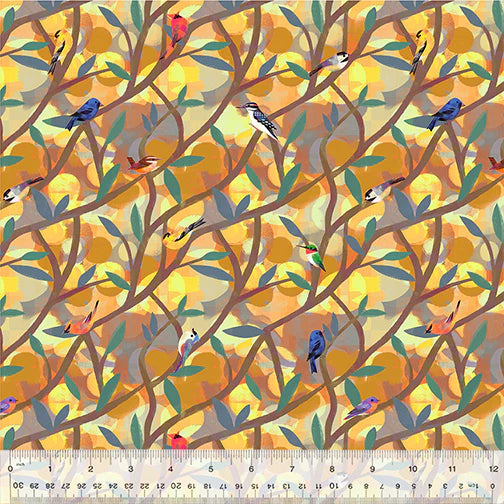 North American Birds in Sunrise | Gareth Lucas | Wild North