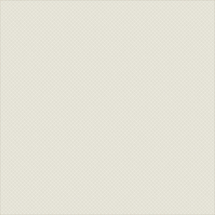 Netting in Cream | Whistler Studios | Sable & Scarlet