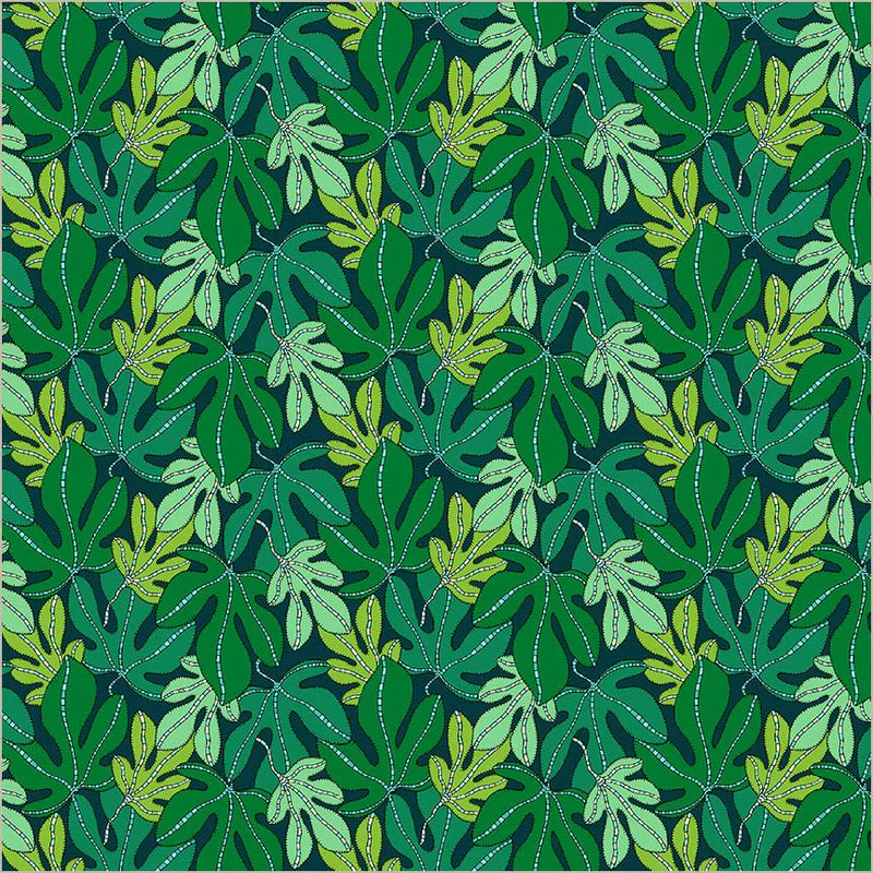 Monstera in Forest | Sunshine | Sally Kelly