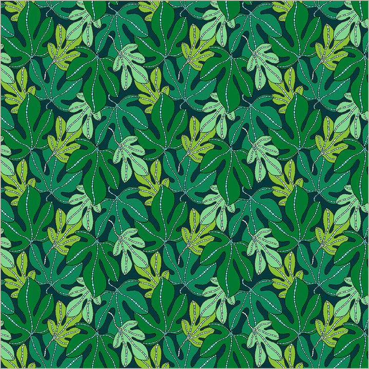 Monstera in Forest | Sunshine | Sally Kelly