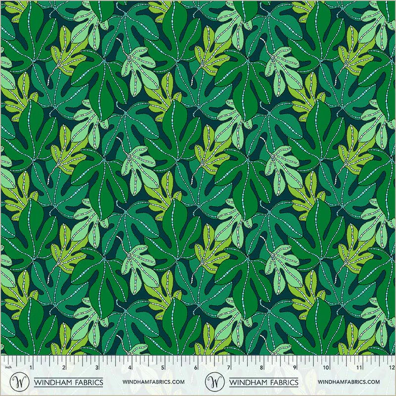 Monstera in Forest | Sunshine | Sally Kelly
