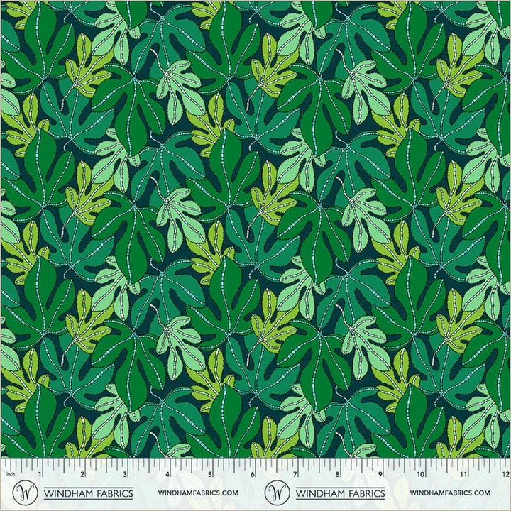 Monstera in Forest | Sunshine | Sally Kelly