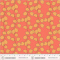 Honesty in Coral | Sunshine | Sally Kelly