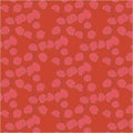 Honesty in Crimson | Sunshine | Sally Kelly
