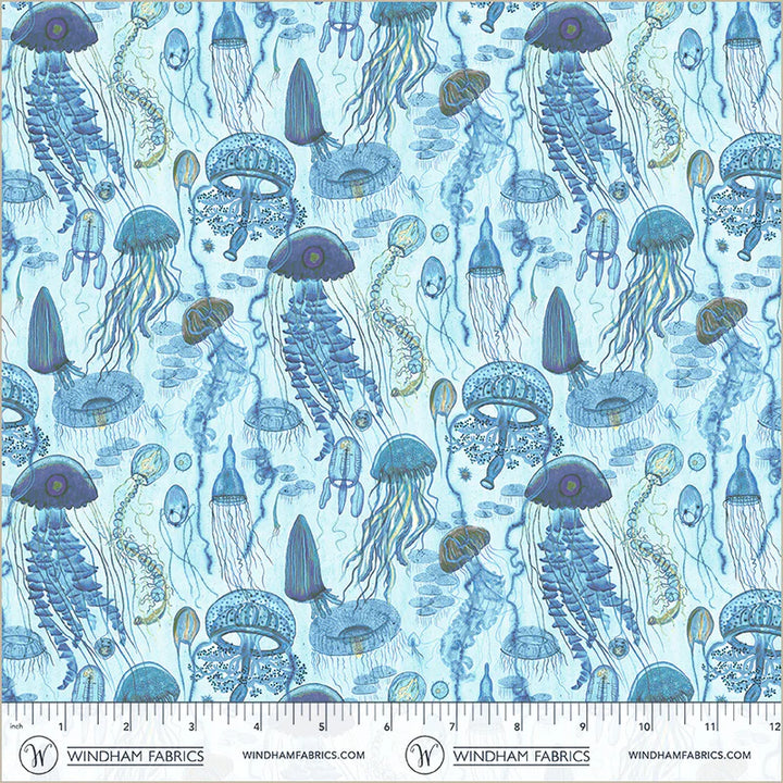 Jellyfish Field in Aqua | Katharine Quinn | Deep Blue