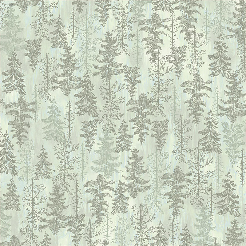 Tranquil Forest in Serene | Whistler Studios | Wanderwoods