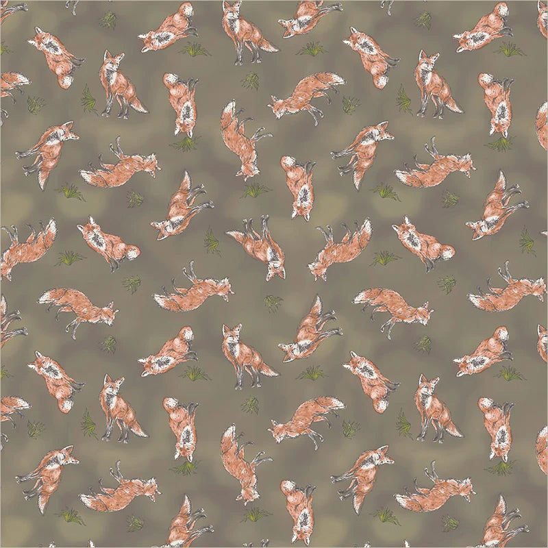Watchful Fox in Acorn | Whistler Studios | Wanderwoods