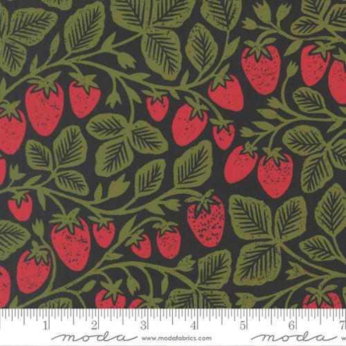 Strawberry Novelty in Midnight | Katharine Watson | Garden Series