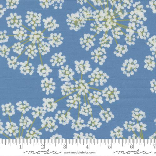 Fennel Large Flower in Sky | Katharine Watson | Garden Series