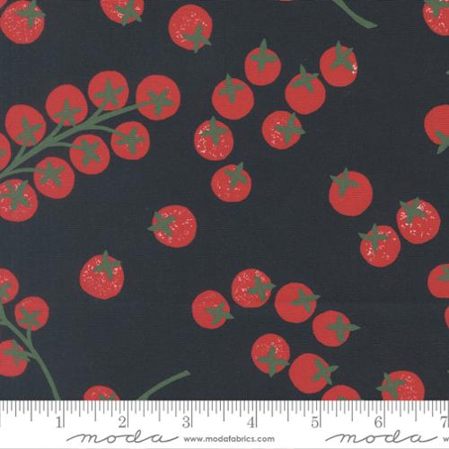 Tomatoes Novelty in Midnight | Katharine Watson | Garden Series