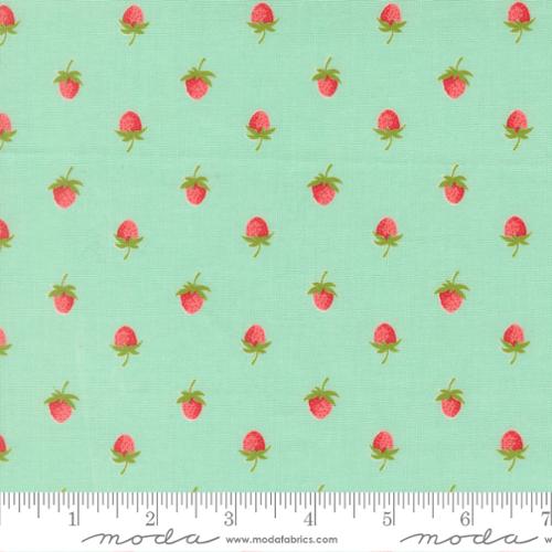 Berries Novelty Strawberries in Aqua| Camille Roskelley | Bloomsberry