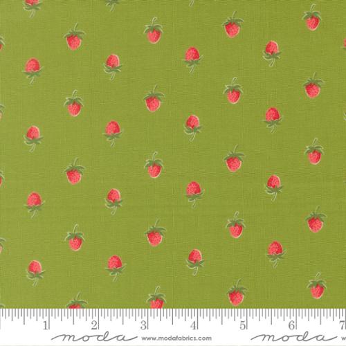 Berries Novelty Strawberries in  Leaf | Camille Roskelley | Bloomsberry