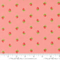 Berries Novelty Strawberries in  Blush | Camille Roskelley | Bloomsberry