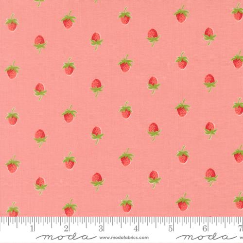 Berries Novelty Strawberries in  Blush | Camille Roskelley | Bloomsberry