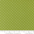 Favorite Dot Dots in Leaf | Camille Roskelley | Bloomsberry
