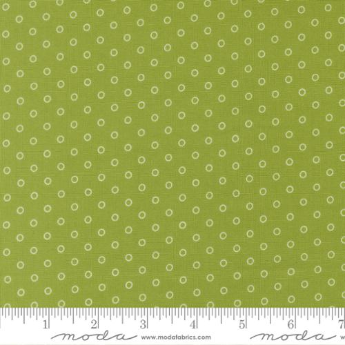 Favorite Dot Dots in Leaf | Camille Roskelley | Bloomsberry