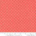 Favorite Dot Dots in Nantucket Red | Camille Roskelley | Bloomsberry