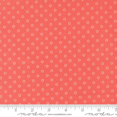 Favorite Dot Dots in Nantucket Red | Camille Roskelley | Bloomsberry