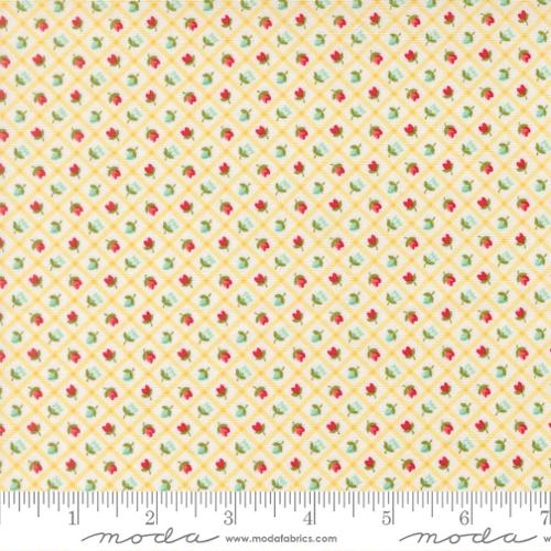 Check Checks and Plaids Flower in Buttermilk  | Camille Roskelley | Bloomsberry