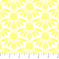 Coneflower in Sun | Anna Maria Parry | Indelible: Soft