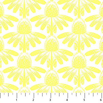Coneflower in Sun | Anna Maria Parry | Indelible: Soft