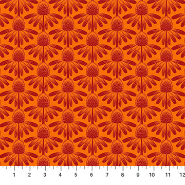 Coneflower in Tangerine | Anna Maria Parry | Indelible: Soft