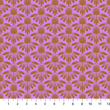 Coneflower in Taffy | Anna Maria Parry | Indelible: Soft