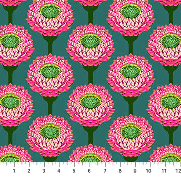 Bursting - Strawflower | by Anna Maria Parry | Iconic Collection