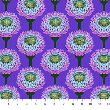 Periwinkle - Strawflower | by Anna Maria Parry | Iconic Collection