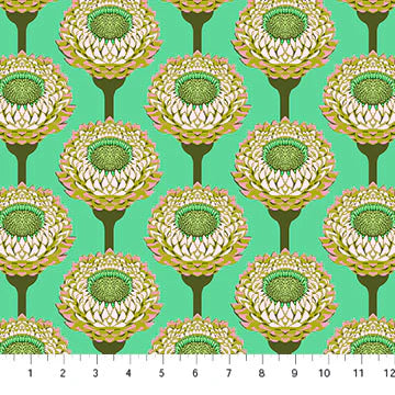 Aqua - Strawflower | by Anna Maria Parry| Iconic Collection