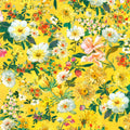 AVMD-24094-128 DAFFODIL | Bloomfield Love by Louren Wan