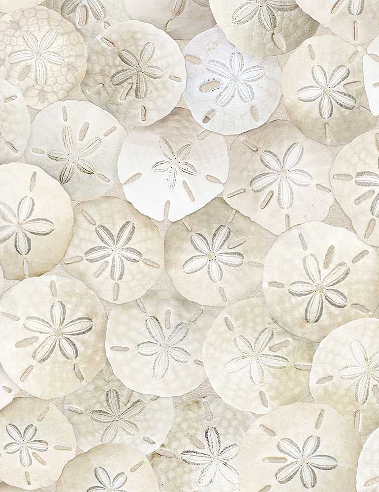 PACKED SAND DOLLARS ON BEACH | Timeless Treasures