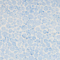 Batiks Achromatic Little Boy Blue |  Achromatic Dance