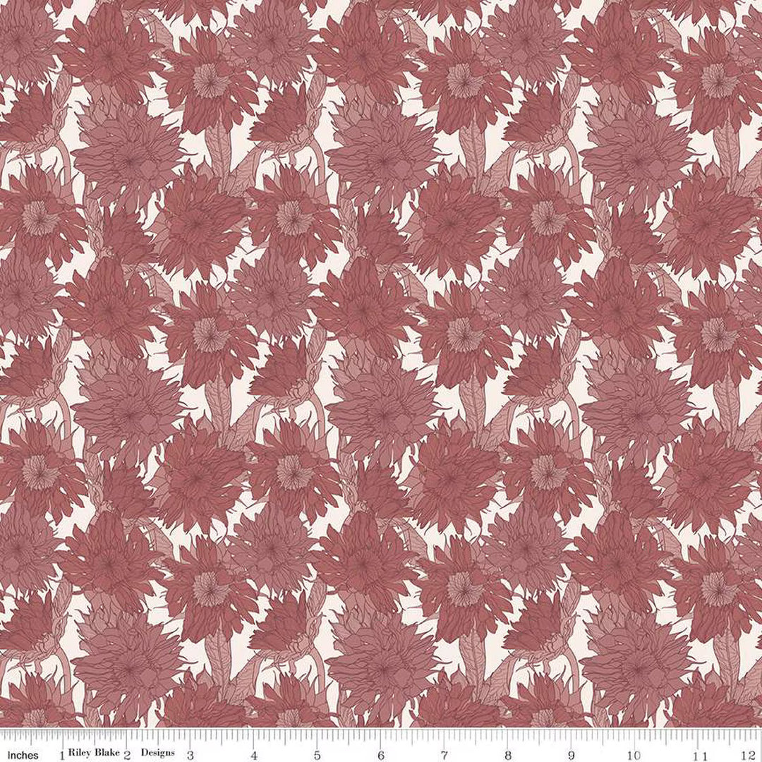 Sunflower in Dusty Rose | Modern Prairie |  Evening on the Prairie