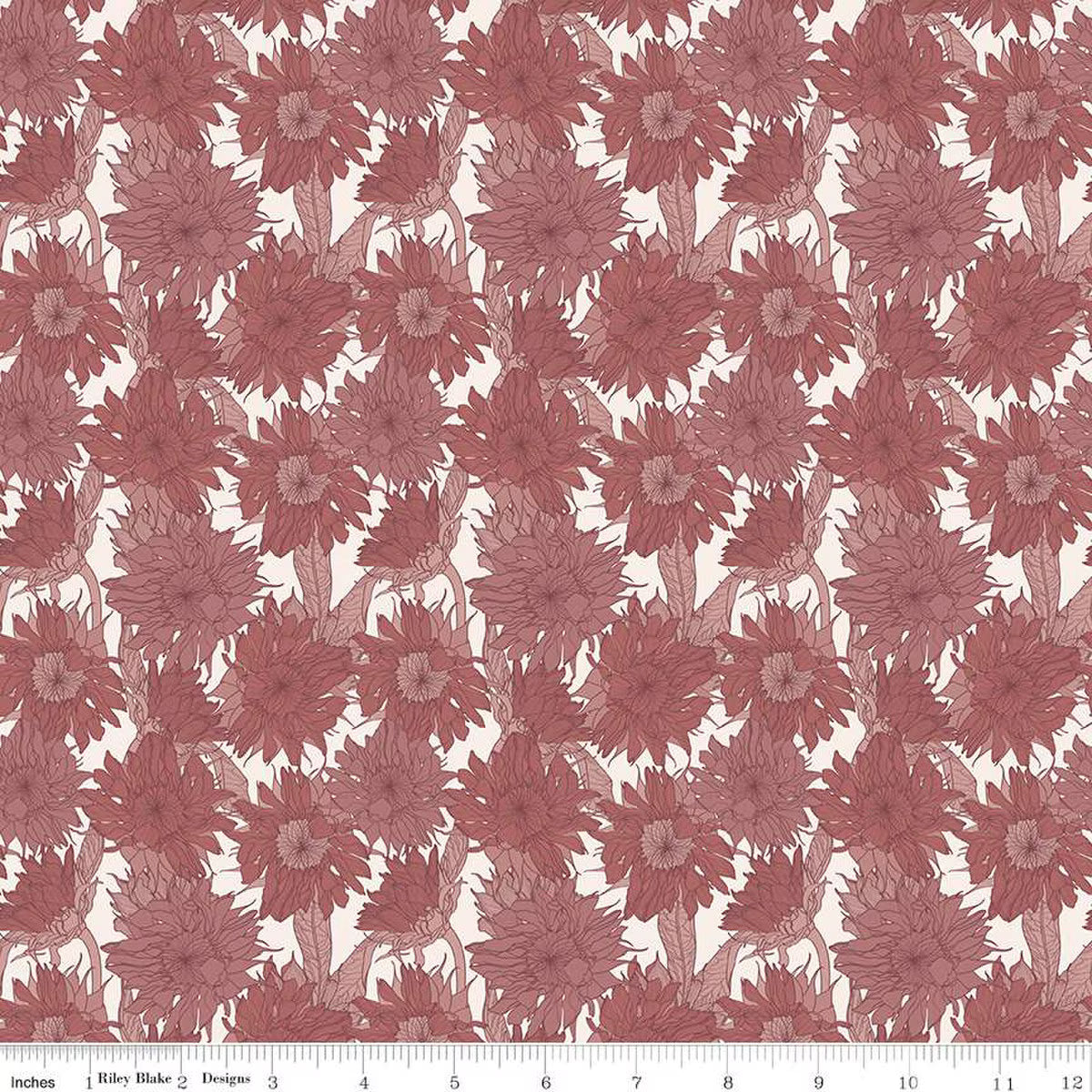 Sunflower in Dusty Rose | Modern Prairie |  Evening on the Prairie