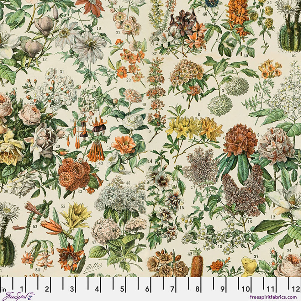 Botanical Canvas in Orange | Tim Holtz | Palette Canvas Cloth Collection