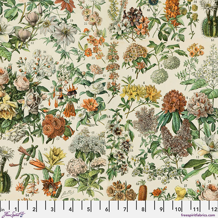 Botanical Canvas in Orange | Tim Holtz | Palette Canvas Cloth Collection