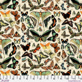 Butterflies Canvas in Teal | Tim Holtz | Palette Canvas Cloth Collection
