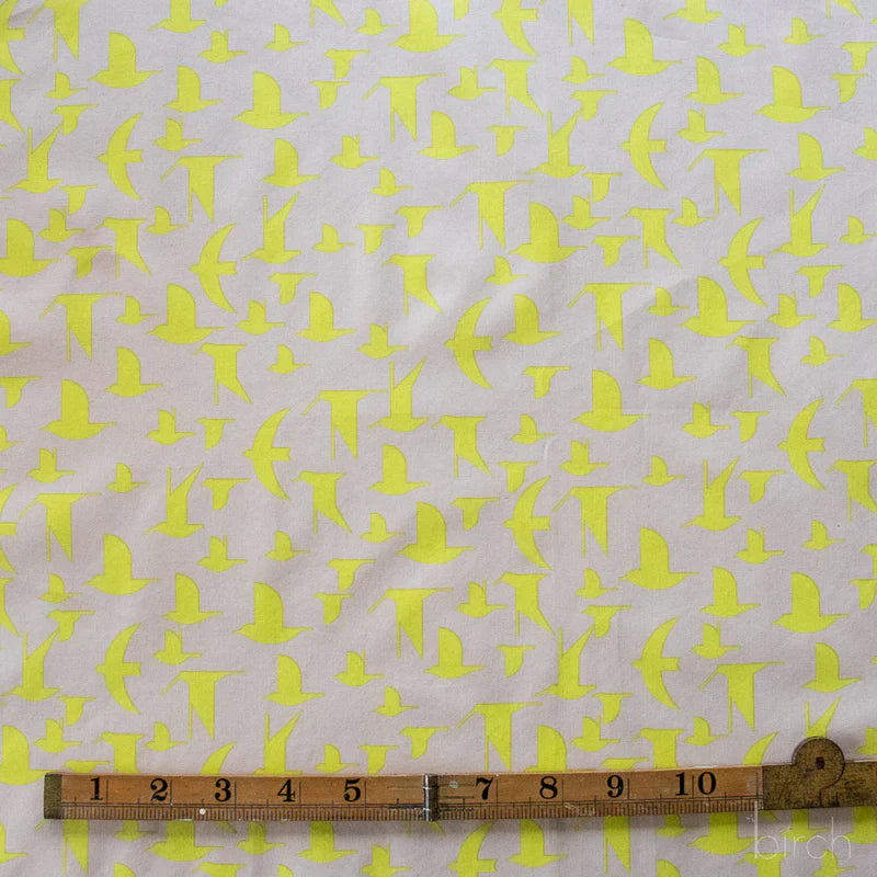 Maritime Birds | Limoncello| by Charley Harper | Coastal Vol. 2