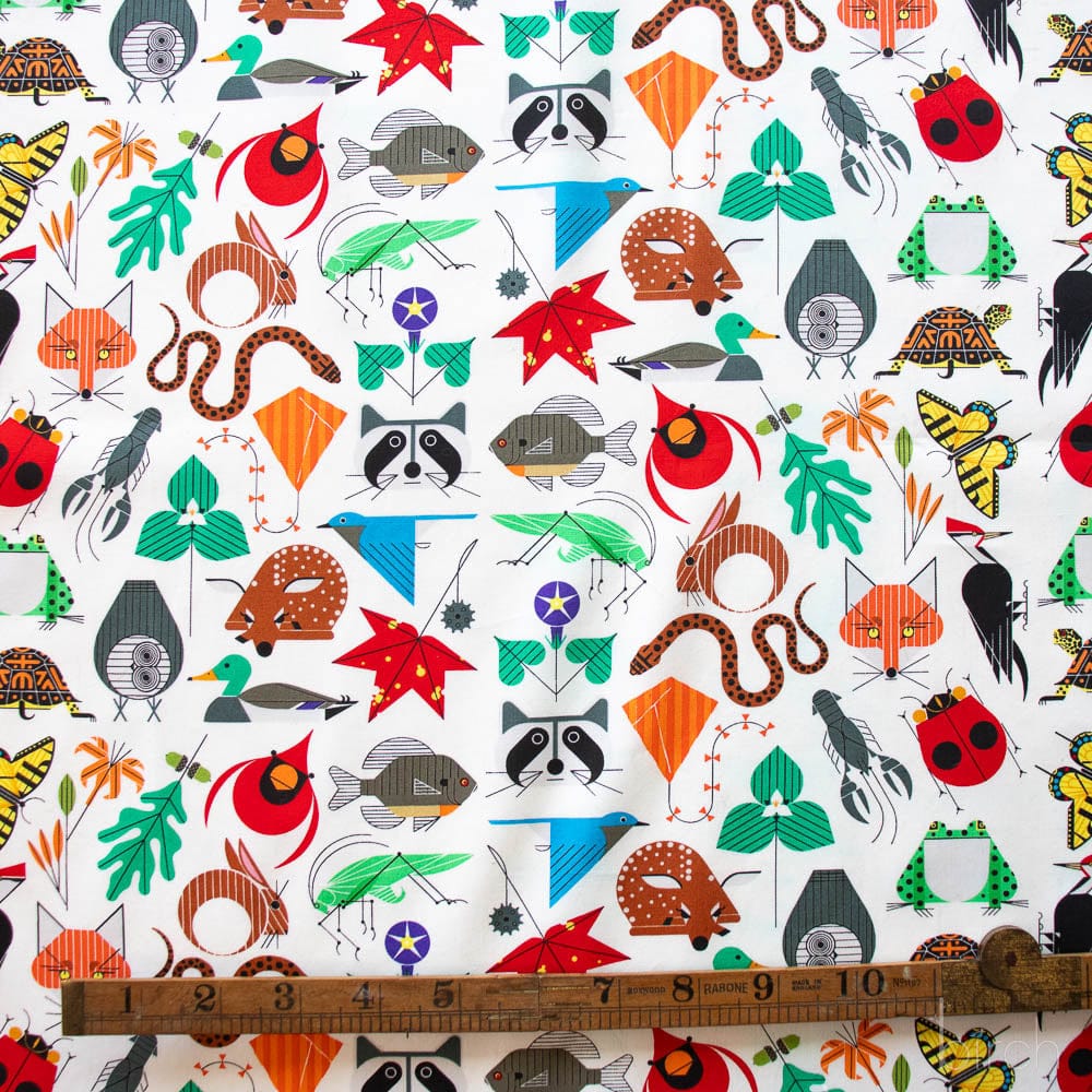 Small Space for All Spaces | Charley Harper | Iconic Vol. 2 collection