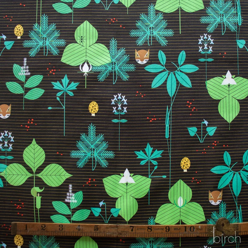 Woodland Wonders Foliage Brown Poplin| Charley Harper | Woodland Wonders