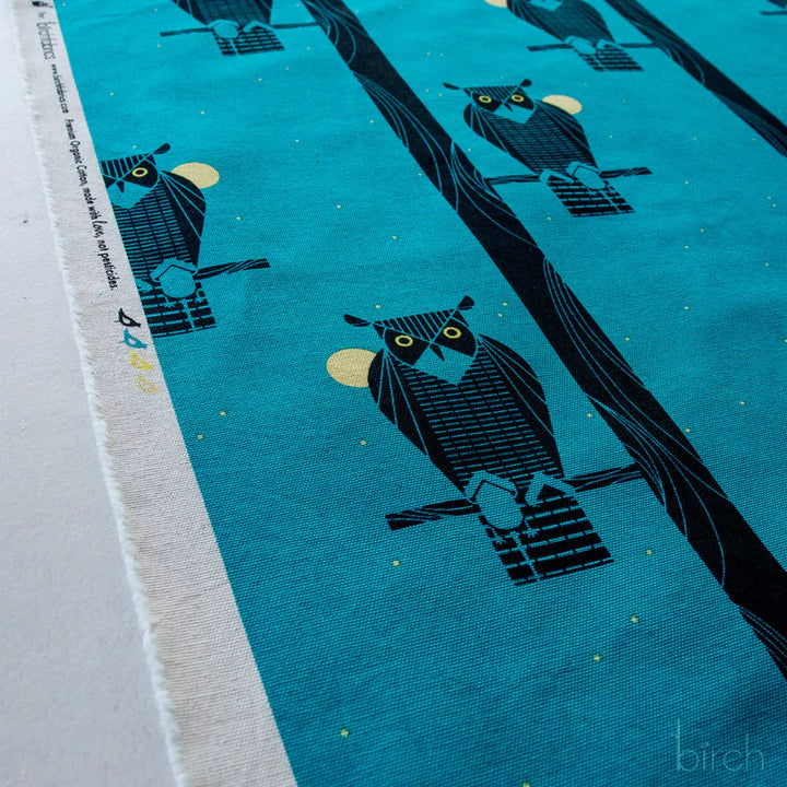 Moon Owl Canvas| by Charley Harper | Coastal Vol. 2