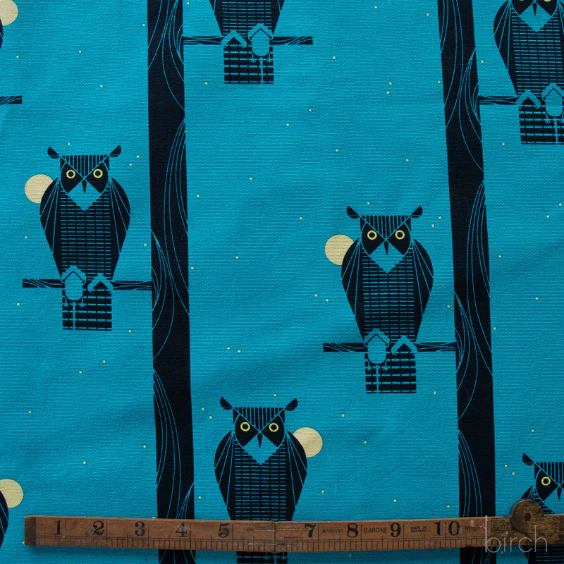 Moon Owl Canvas| by Charley Harper | Coastal Vol. 2